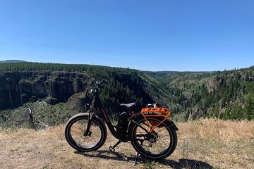 Yellowstone E Bike Tour