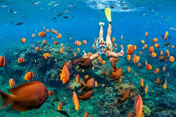 Virgin Islands Snorkel and Swim Tour