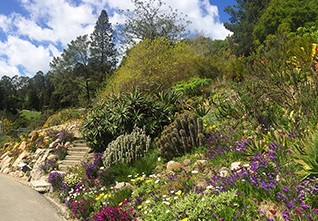 Must See gardens California